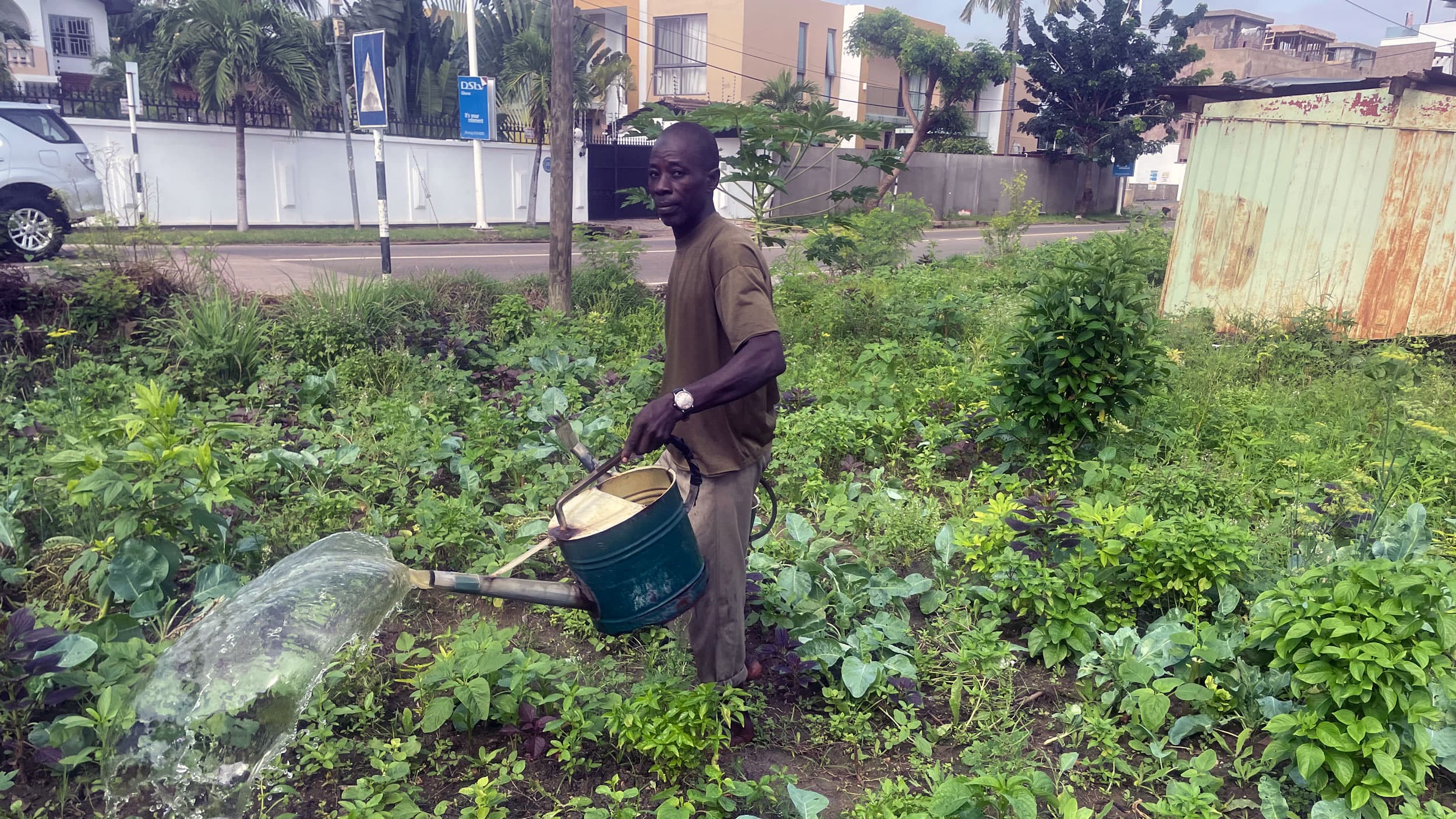 Farmers in Ghana need 600,000 tons of inorganic fertilizer annually.