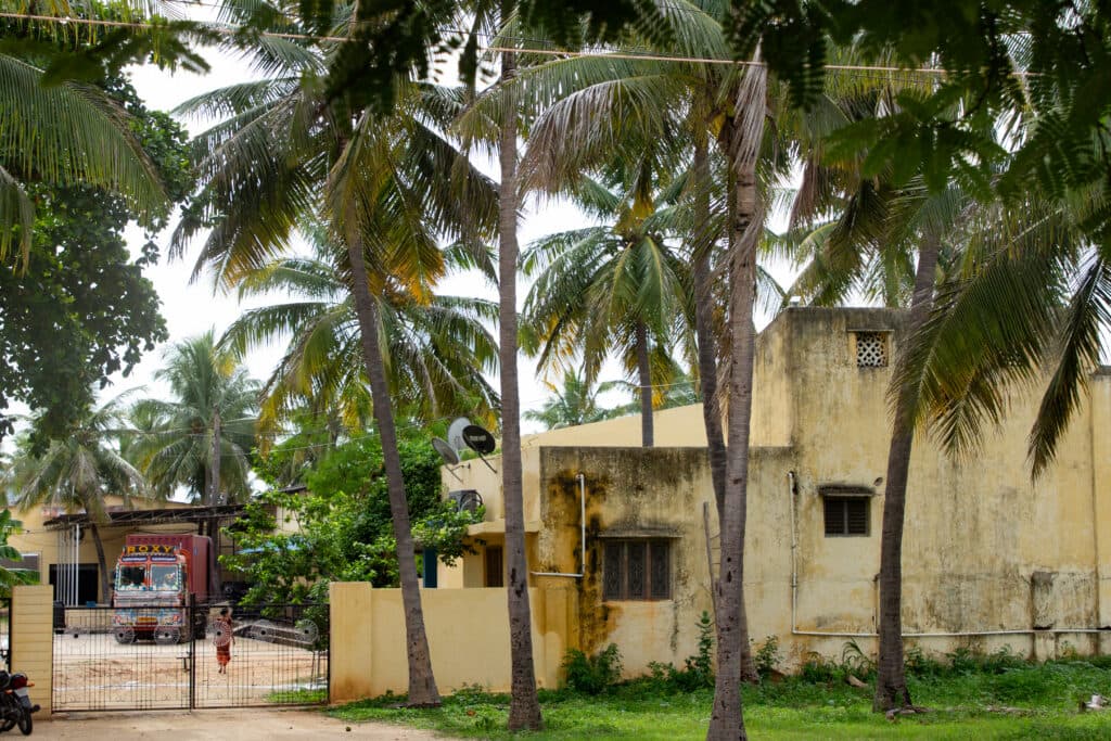 A rustic house surrounded by palm trees, with a truck parked in the background.