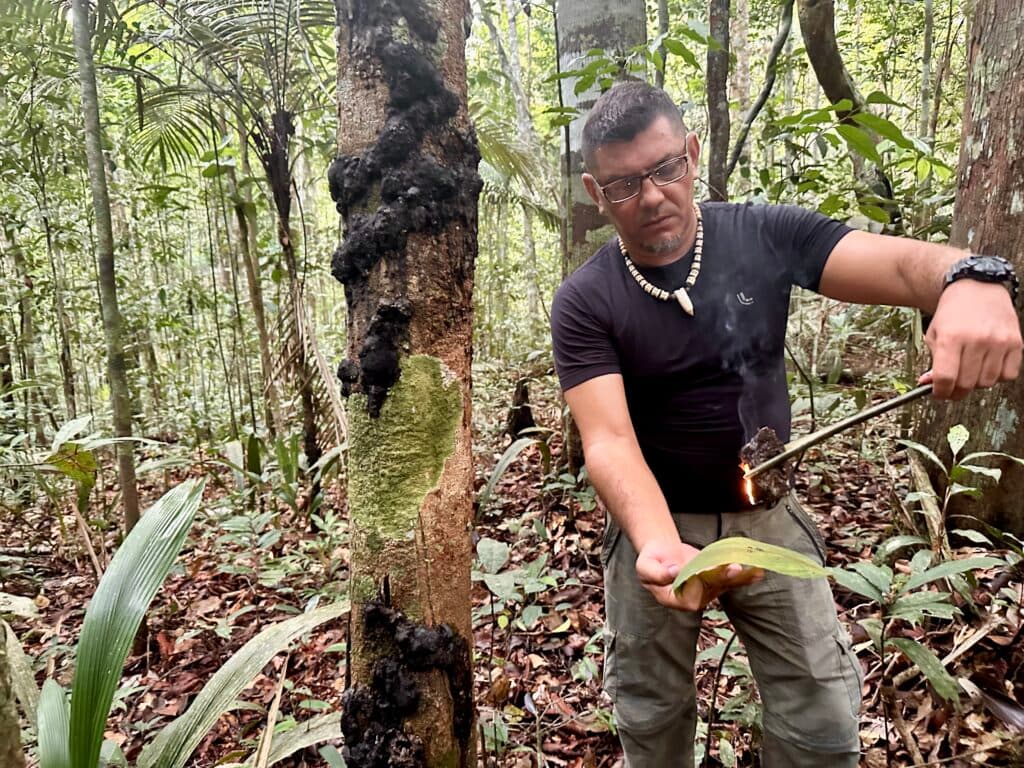 A man in a forest using a stick to hold a burning piece of material over a leaf, next to a tree with dark growths on its trunk.